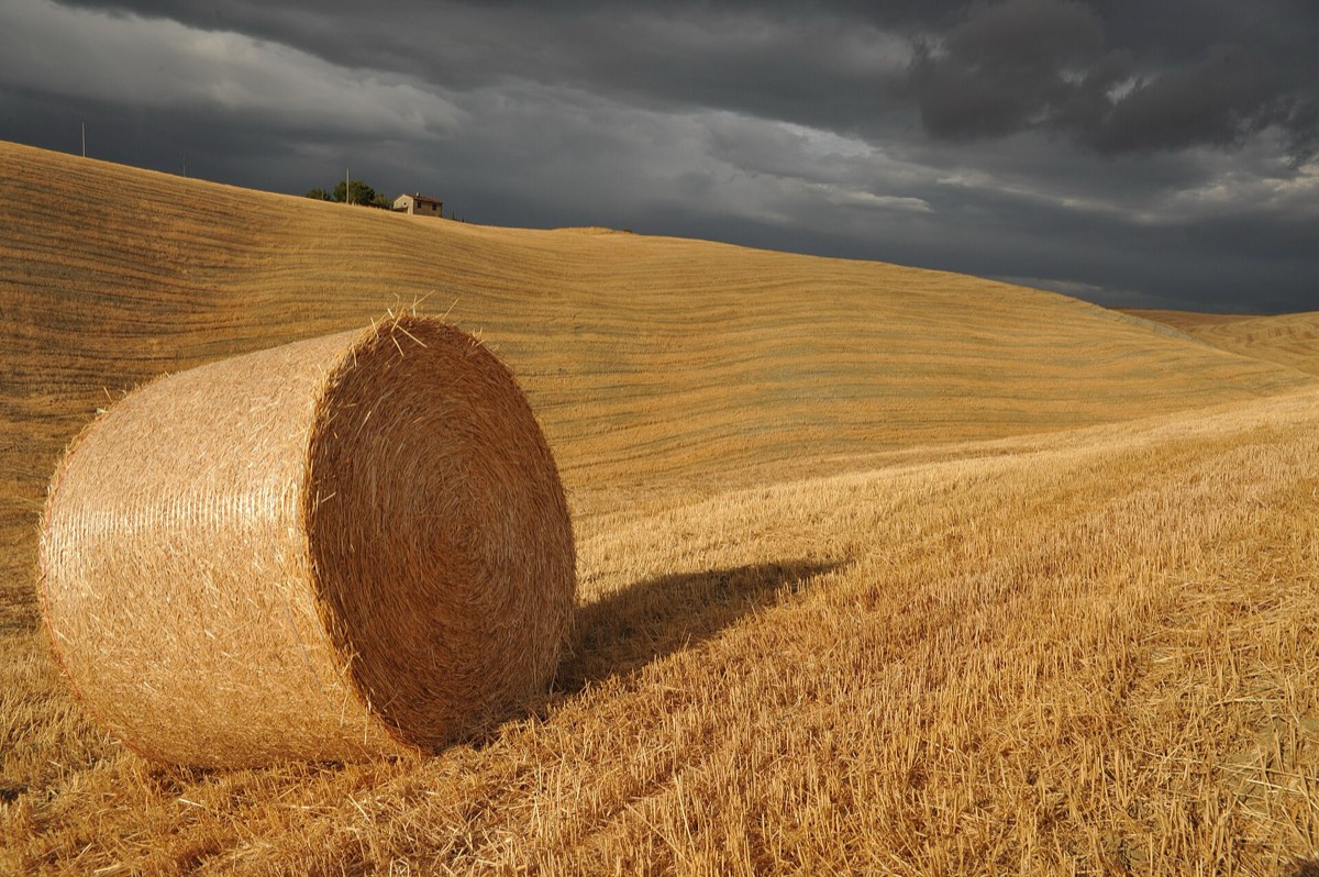 Golden Tuscan hills at dusk with a round hay bale and a distant farmhouse